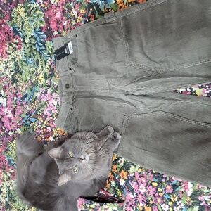 nwt no boundaries cotton corduroy carpenter pants 28x31 artichoke green